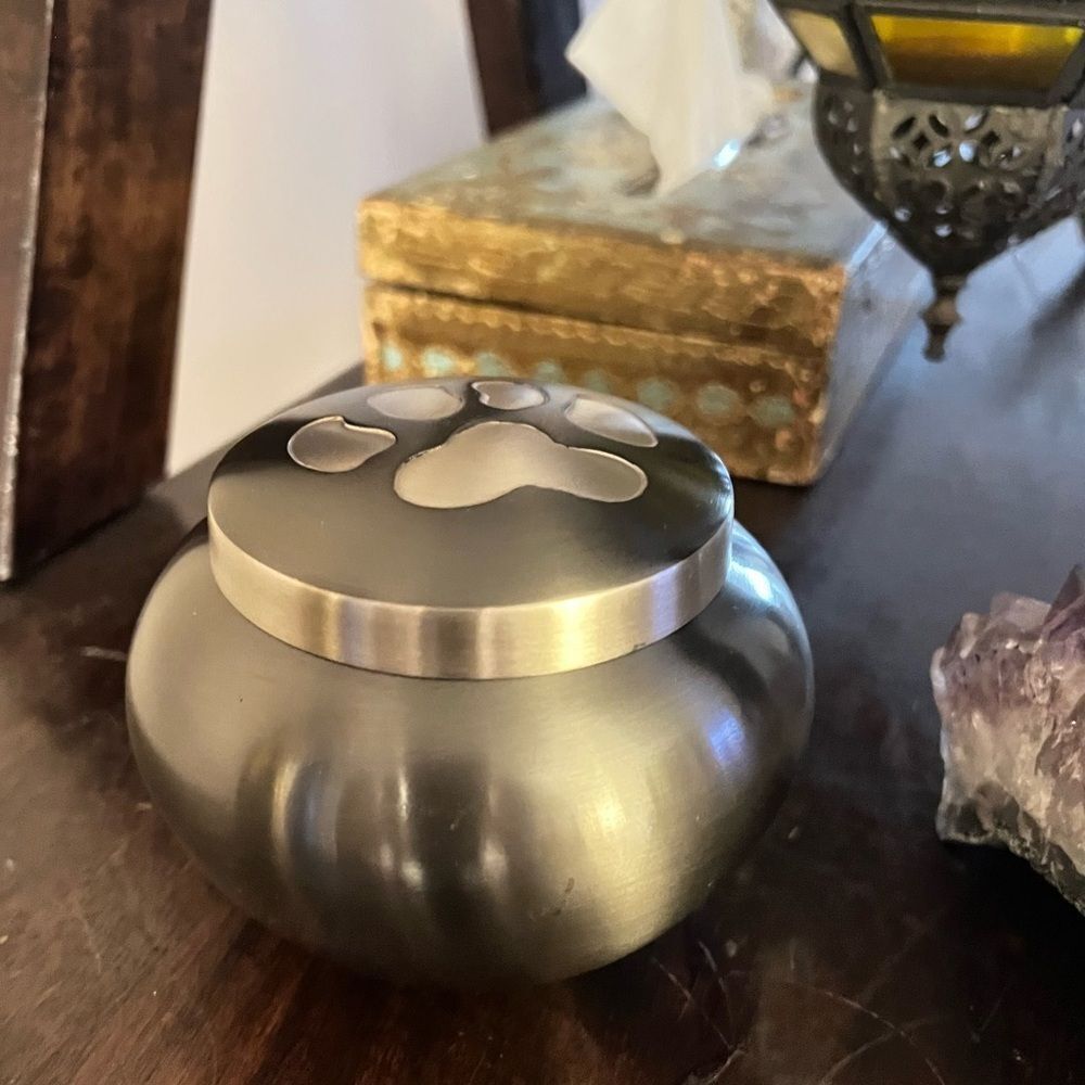 Olive green, paw print, solid brass, small pet urn. Up to 40 in.³.